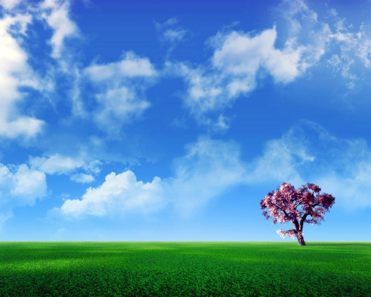 9999 (a): :1280x1024
